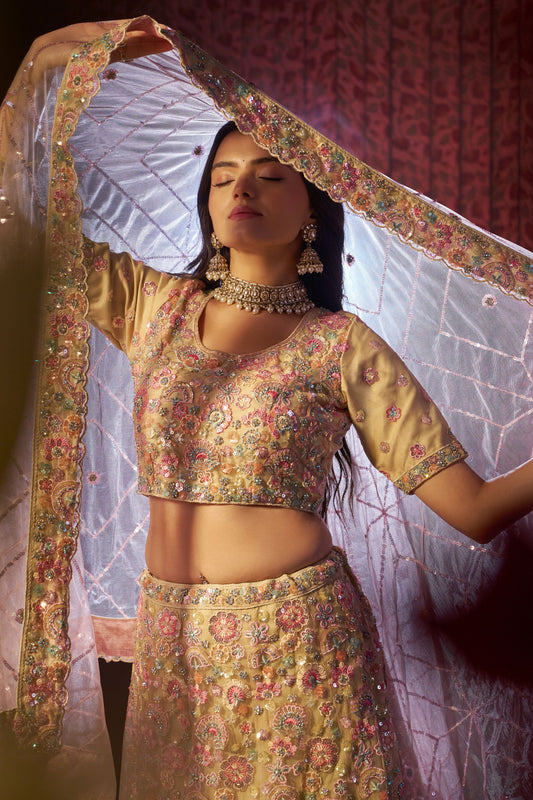 Beige Semi Stitched Heavy Work Net Lehenga-LC110_2_SareeButa.com