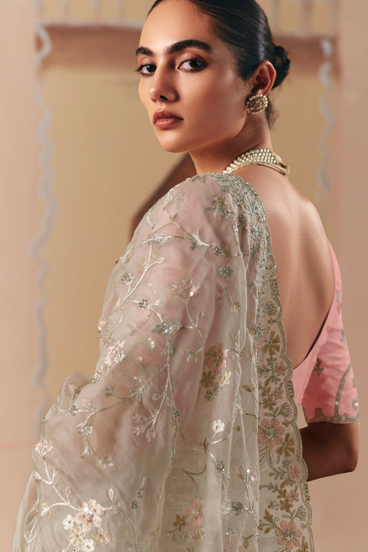 Beige Embroidered Organza Saree-SAR10553_2_SareeButa.com