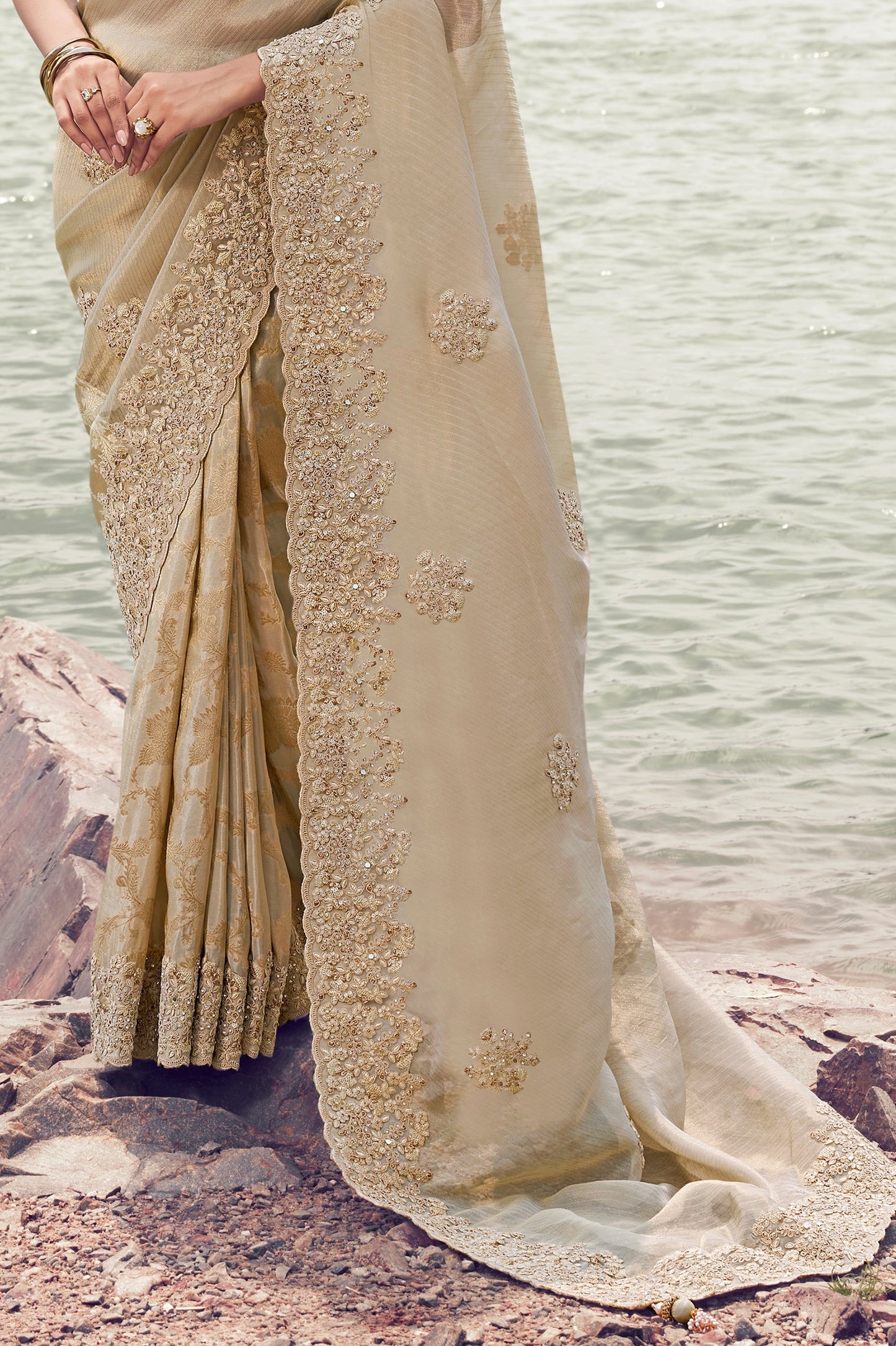 Beige Embroidered Woven Tissue Silk Saree-SAR11005_5_SareeButa.com