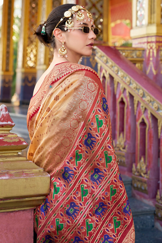 Beige Tussar Silk Saree with Patola Pallu-ZB133780_2_SareeButa.com