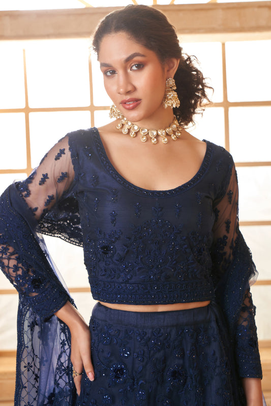 Blue Semi Stitched Embroidered Net Lehenga-LC53_2_SareeButa.com