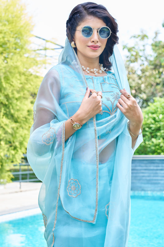 Blue Stone Work Organza Saree-ZB134210_2_SareeButa.com