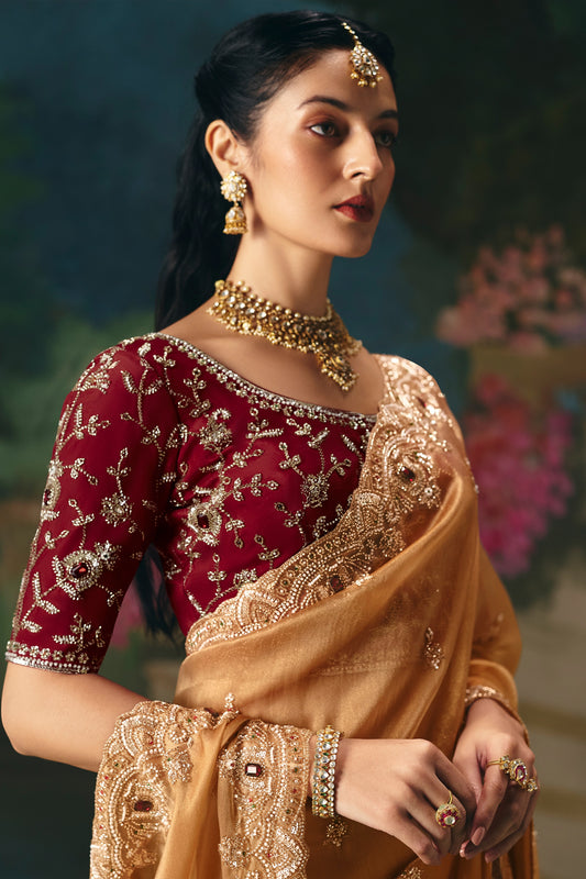 Golden Brown Embroidered Organza Saree-SAR12022_3_SareeButa.com