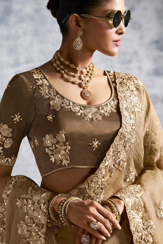 Golden Brown Embroidered Tissue Silk Saree-SAR10457_2_SareeButa.com