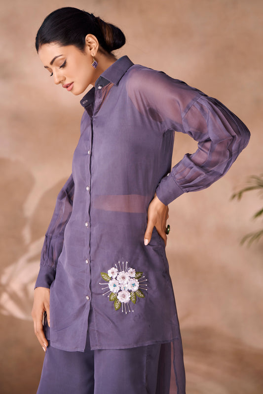 Grey Embroidered Organza Co-Ord Set-SS235_2_SareeButa.com