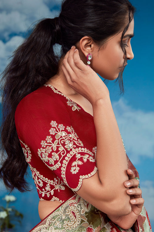 Multicolor Organza Brasso Saree-ZB132896_2_SareeButa.com