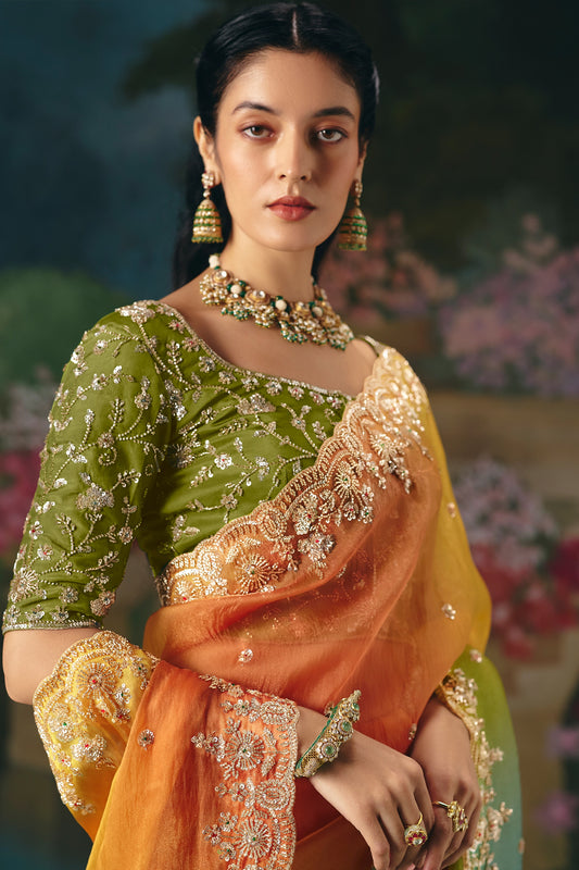 Multicolor Embroidered Organza Saree-SAR12015_2_SareeButa.com