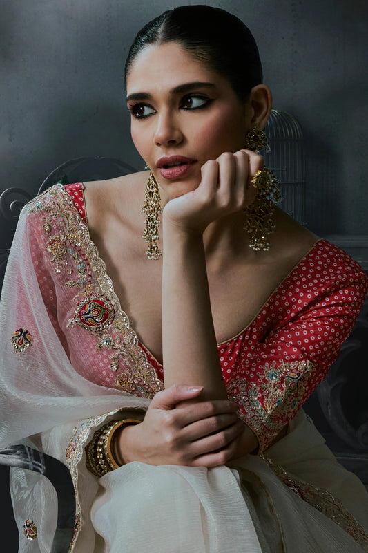 Off White Embroidered Tissue Organza Saree-SAR13100_2_SareeButa.com
