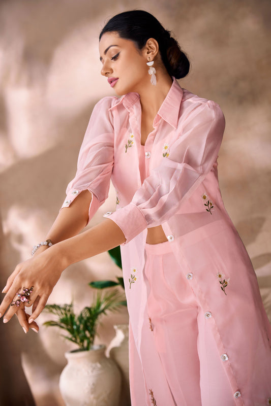 Pink Embroidered Organza Co-Ord Set-SS242_2_SareeButa.com