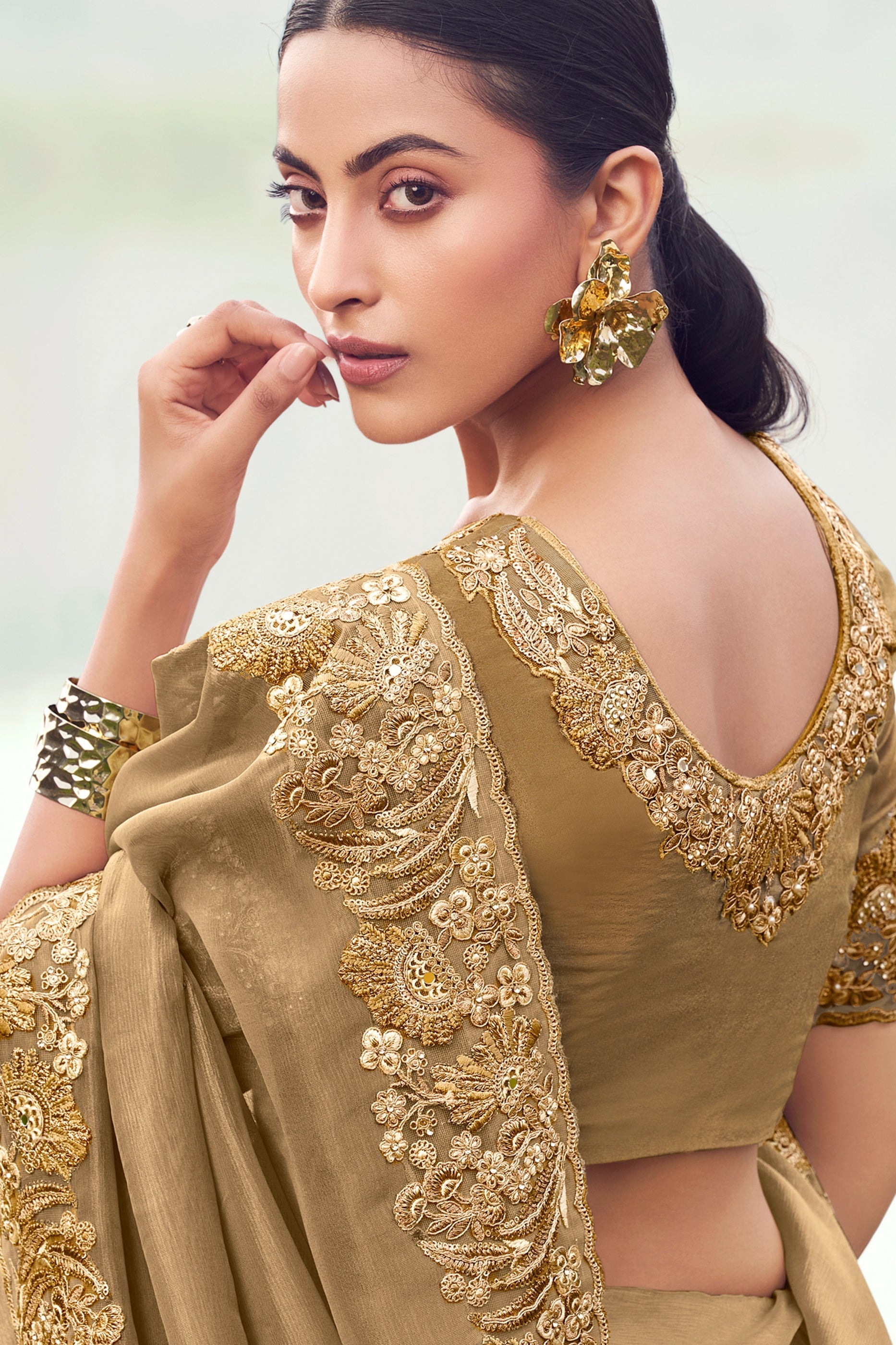Beige Embroidered Banarasi Silk saree-SAR11013_3_SareeButa.com