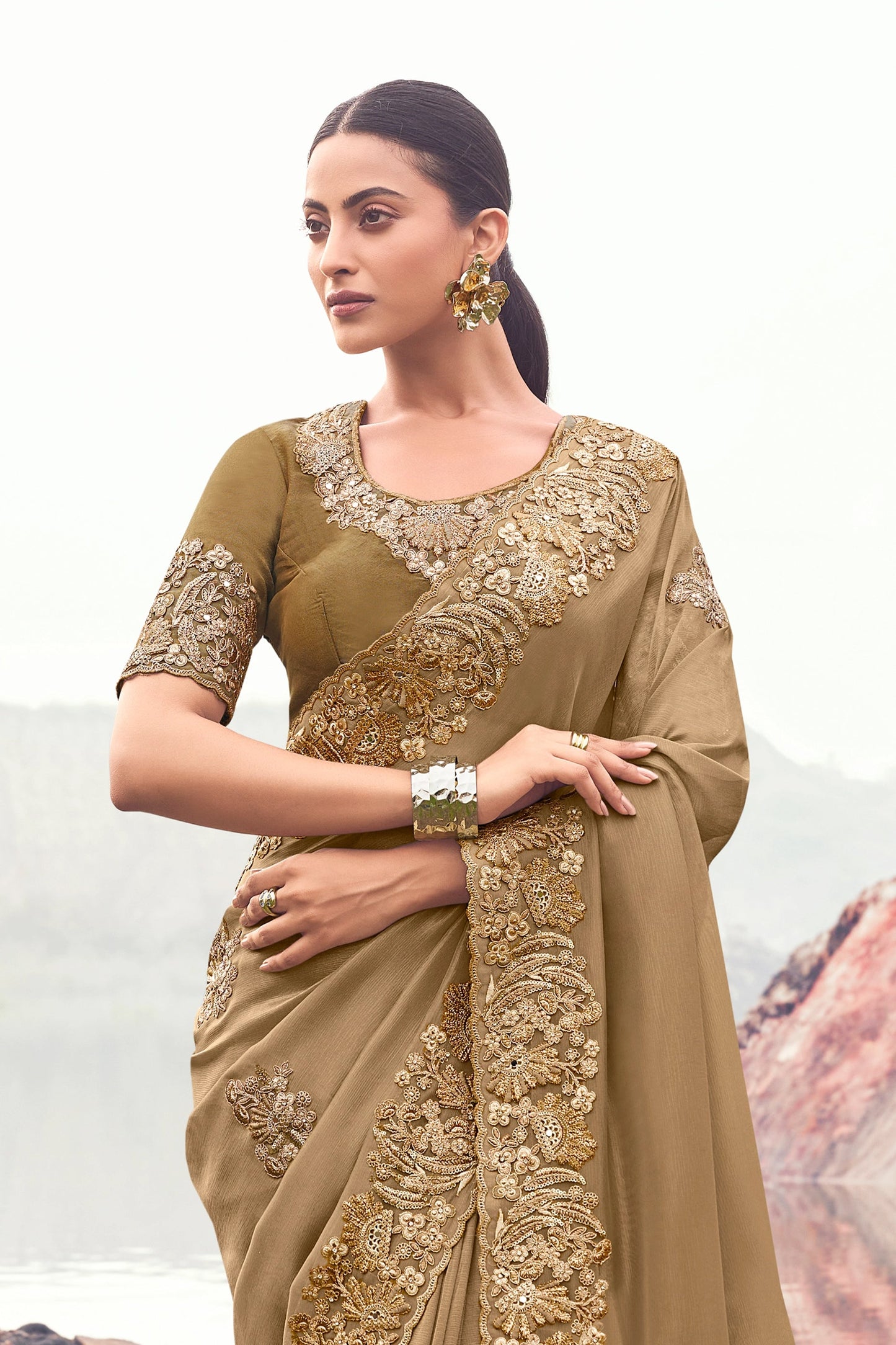 Beige Embroidered Banarasi Silk saree-SAR11013_4_SareeButa.com