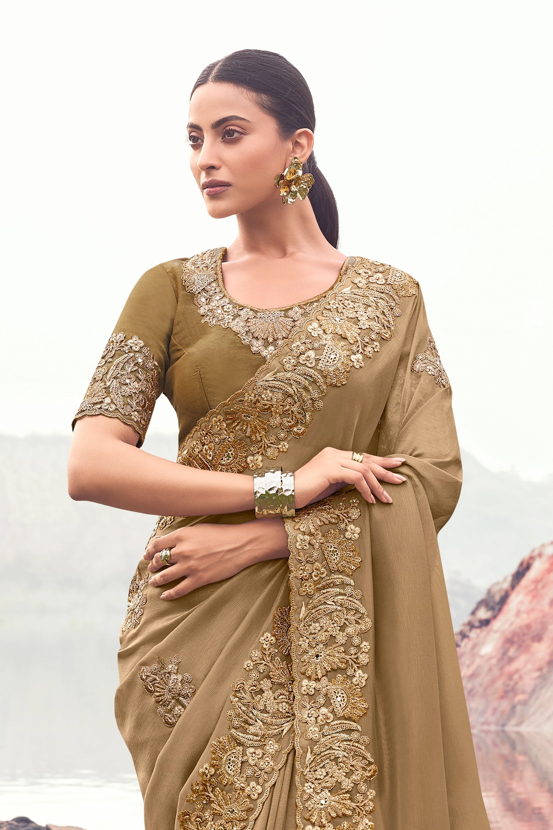 Beige Embroidered Banarasi Silk saree-SAR11013_4_SareeButa.com
