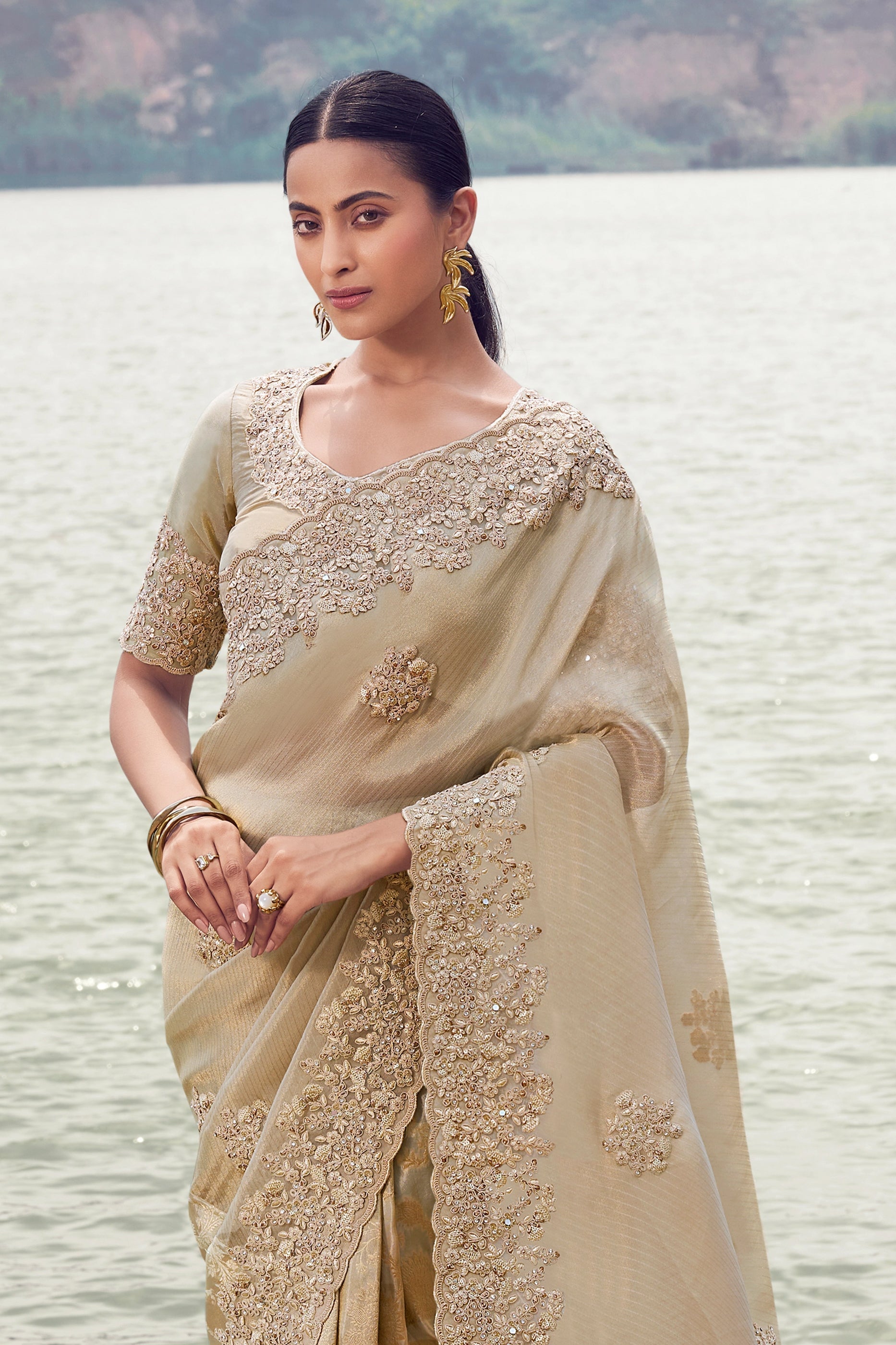 Beige Embroidered Woven Tissue Silk Saree-SAR11005_4_SareeButa.com