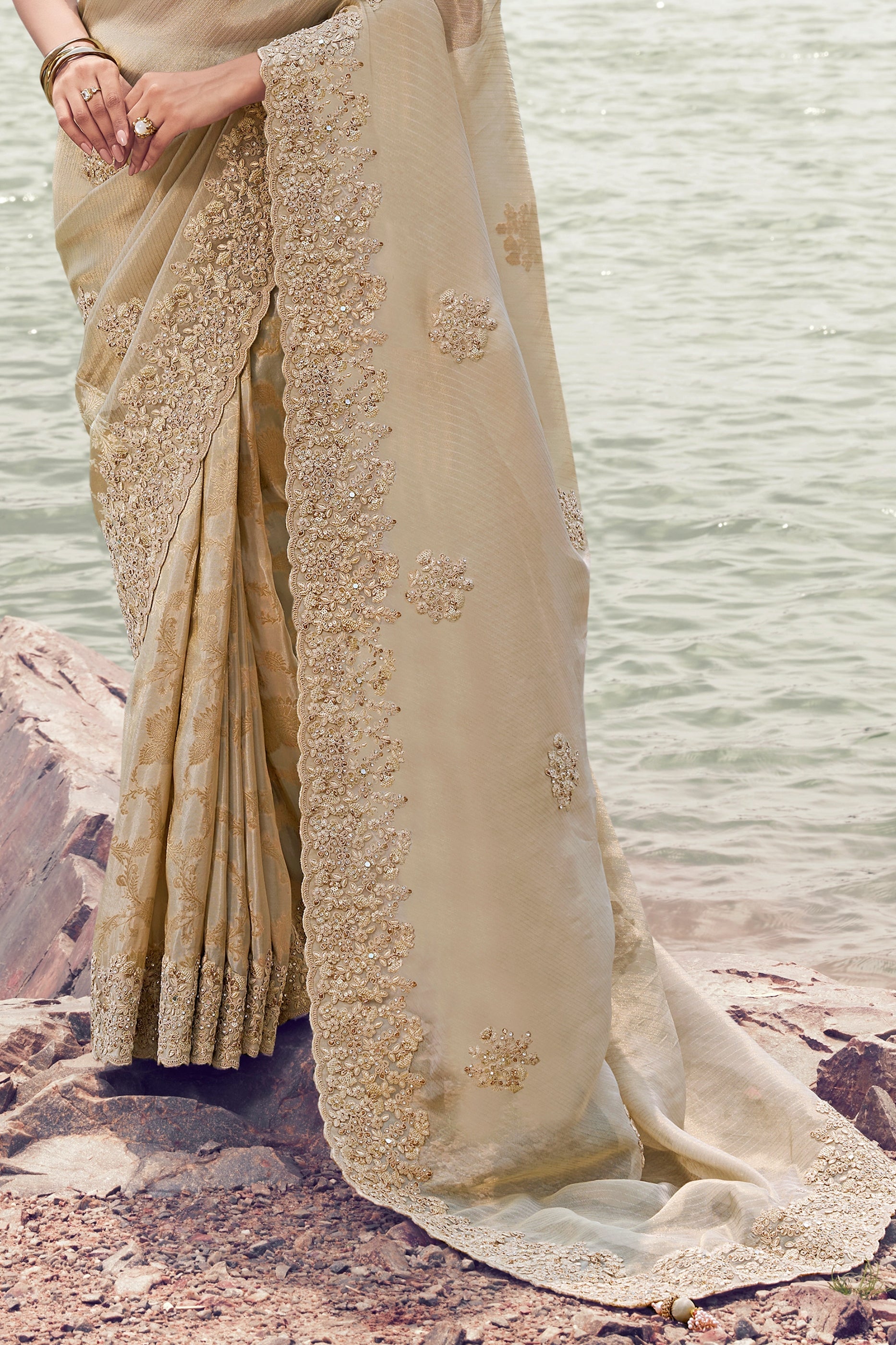 Beige Embroidered Woven Tissue Silk Saree-SAR11005_5_SareeButa.com