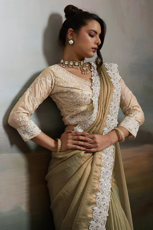 Beige Metallic Satin Velvet Saree-SAR12919_2_SareeButa.com
