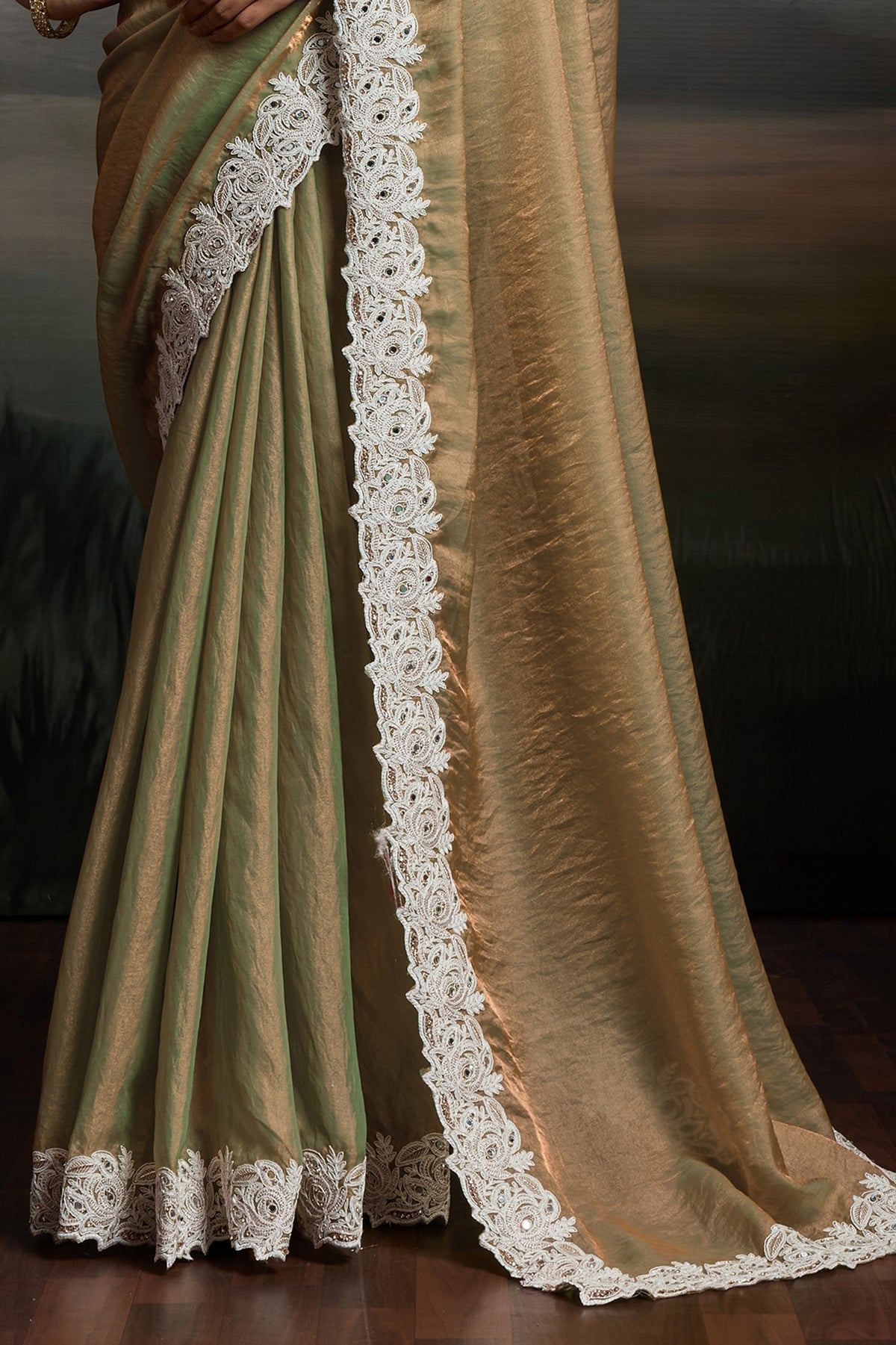 Beige Metallic Satin Velvet Saree-SAR12919_6_SareeButa.com