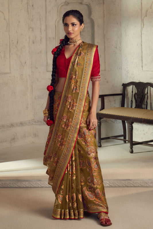 brown-brasso-organza-saree-zb130960_1_SareeButa.com