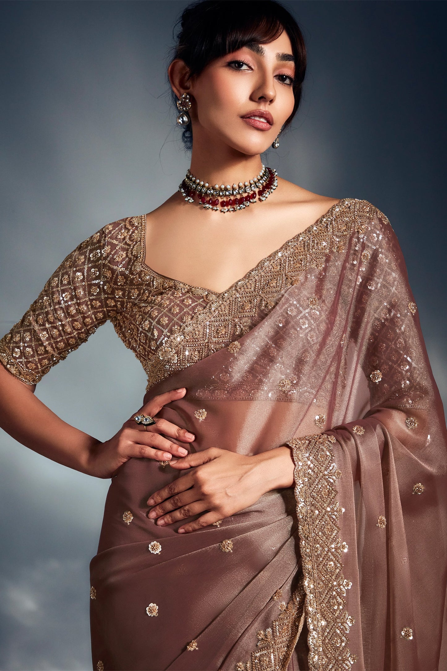 Brown Embroidered Tissue Silk Saree-SAR10214_3_SareeButa.com