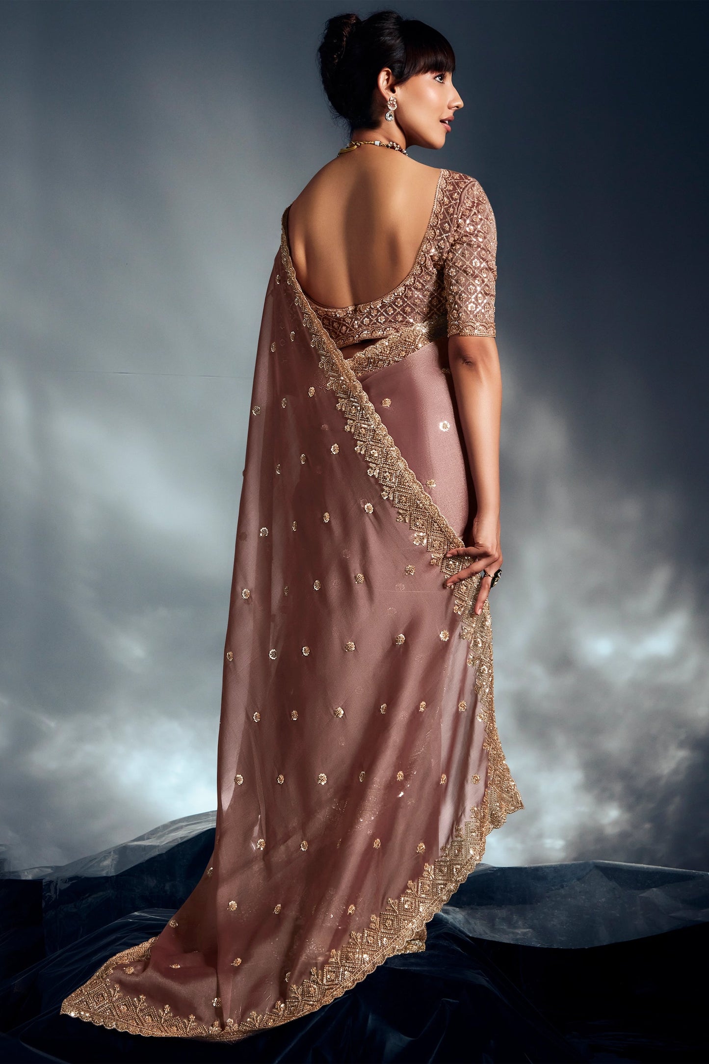 Brown Embroidered Tissue Silk Saree-SAR10214_4_SareeButa.com