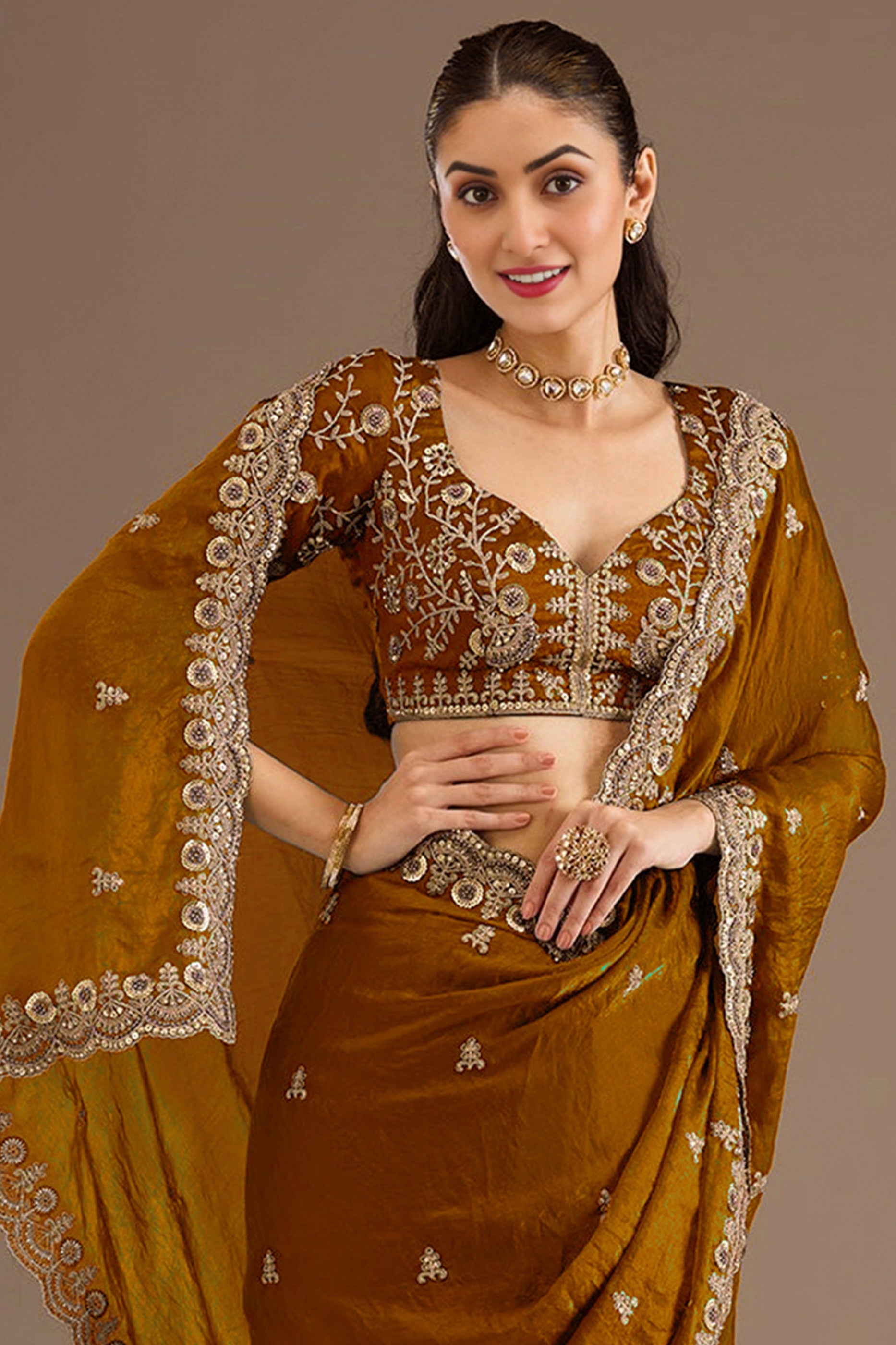 Copper Brown Embroidered Tissue Saree-SAR12578_2_SareeButa.com