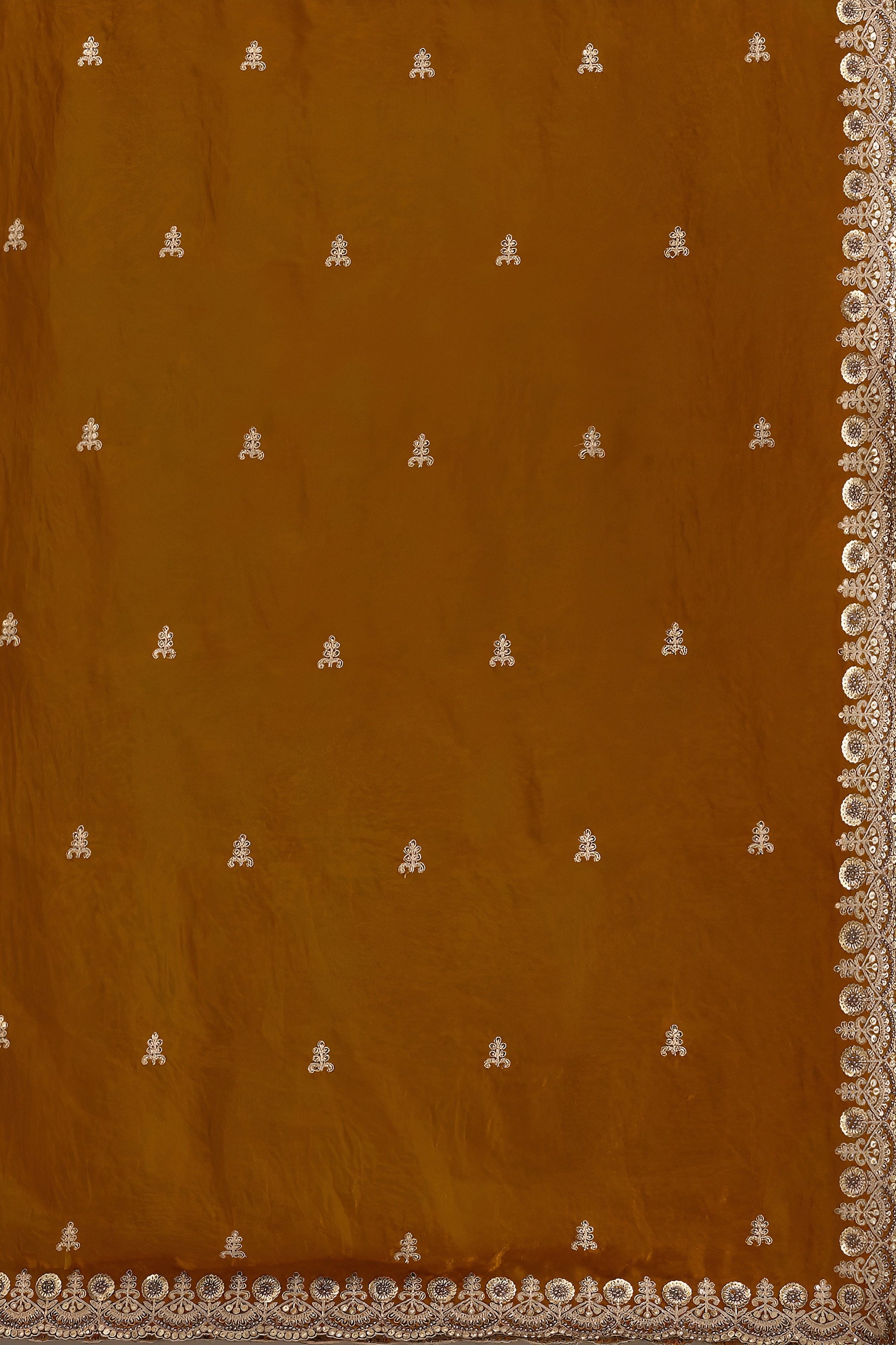 Copper Brown Embroidered Tissue Saree-SAR12578_5_SareeButa.com
