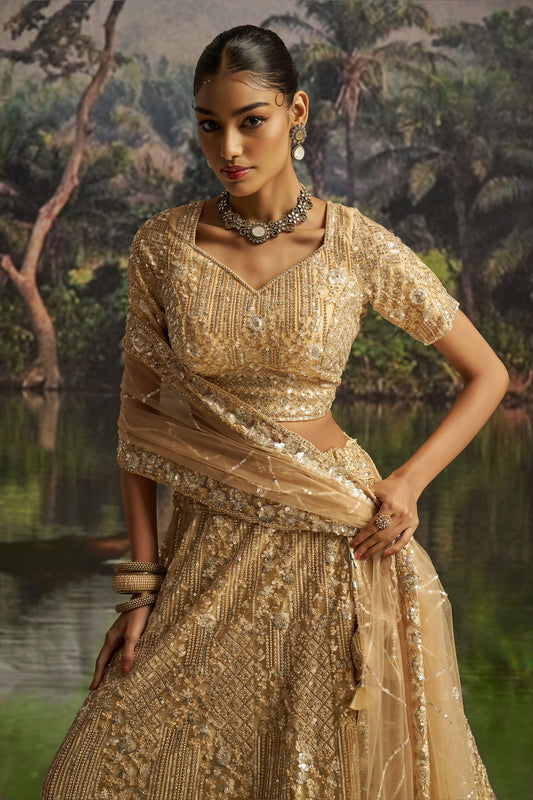 Cream Embroidered Sequinced Semi-Stitched Lehenga-SAR10356_2_SareeButa.com