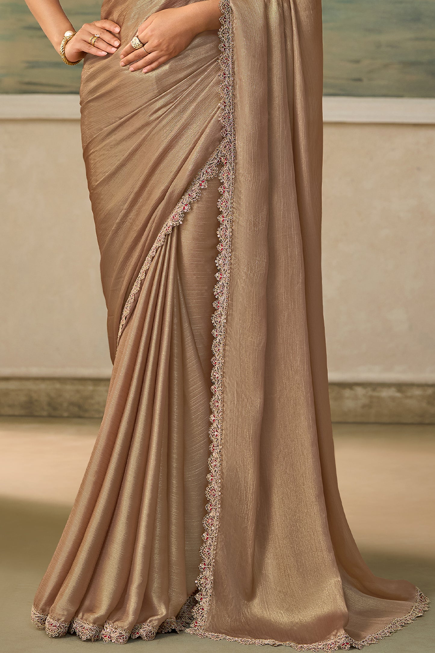 Gold Beige Embroidered Chiffon Saree-SAR13185_6_SareeButa.com