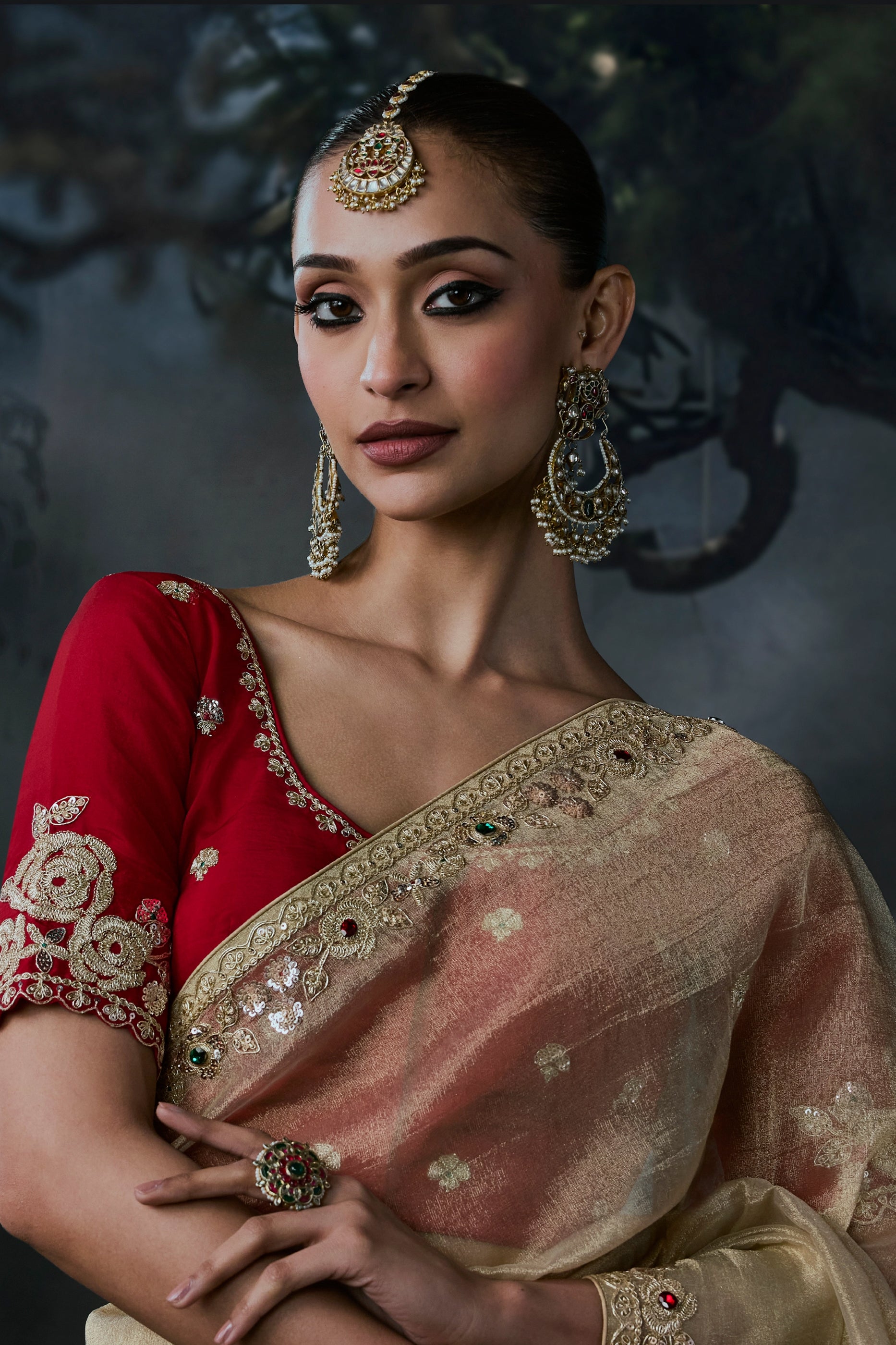 Golden Beige Embroidered Tissue Organza Saree-SAR13103_3_SareeButa.com