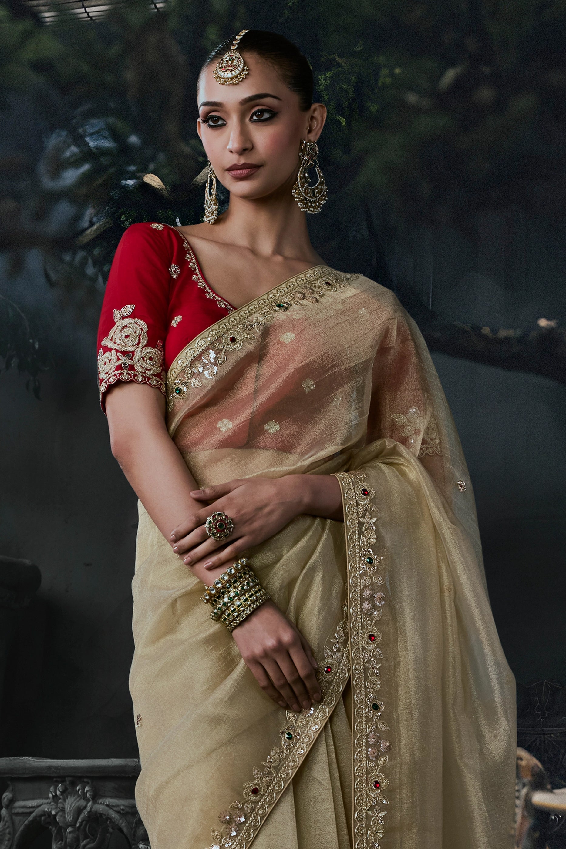 Golden Beige Embroidered Tissue Organza Saree-SAR13103_5_SareeButa.com