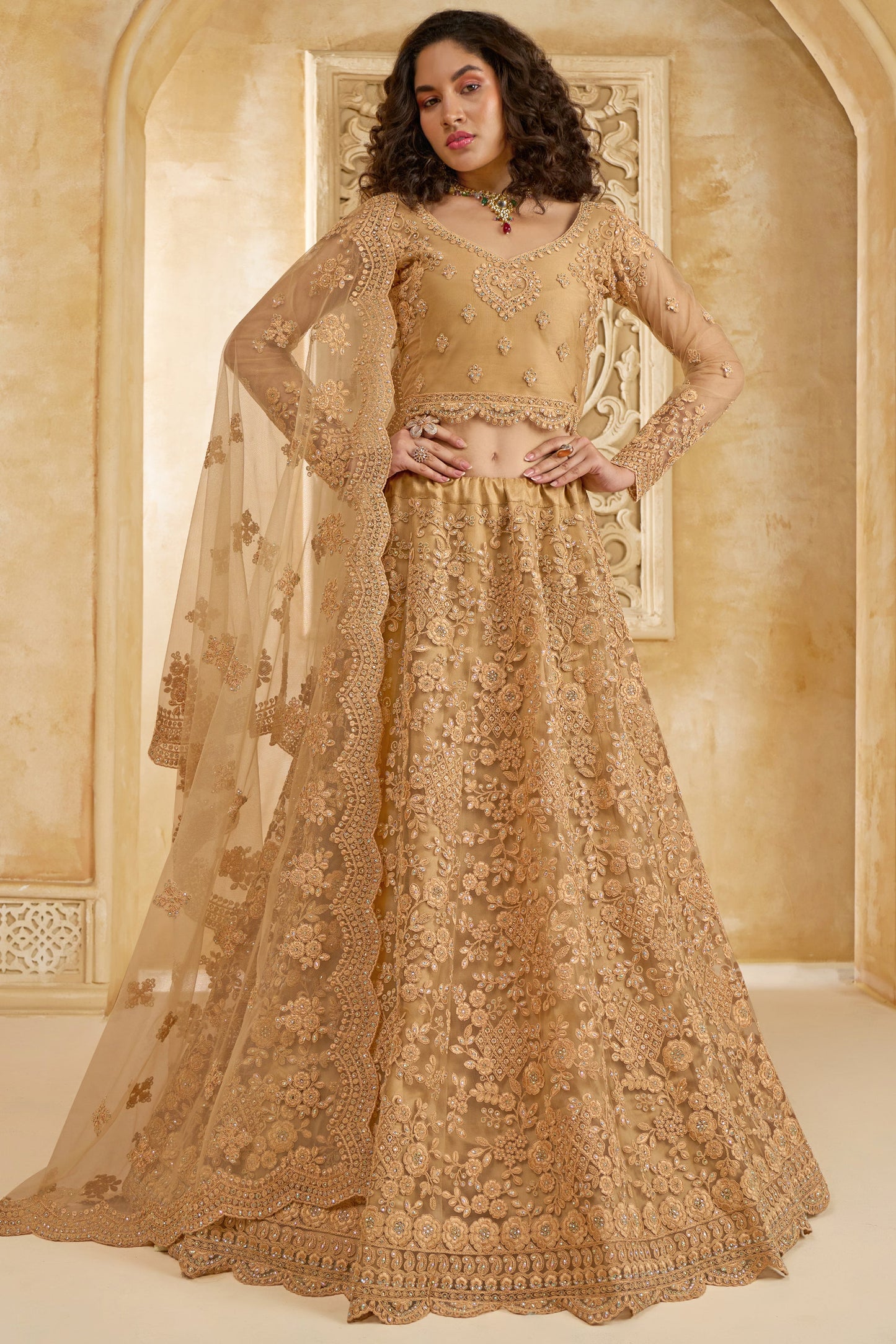 Golden Beige Semi Stitched Embroidered Net Lehenga-LC12_1_SareeButa.com