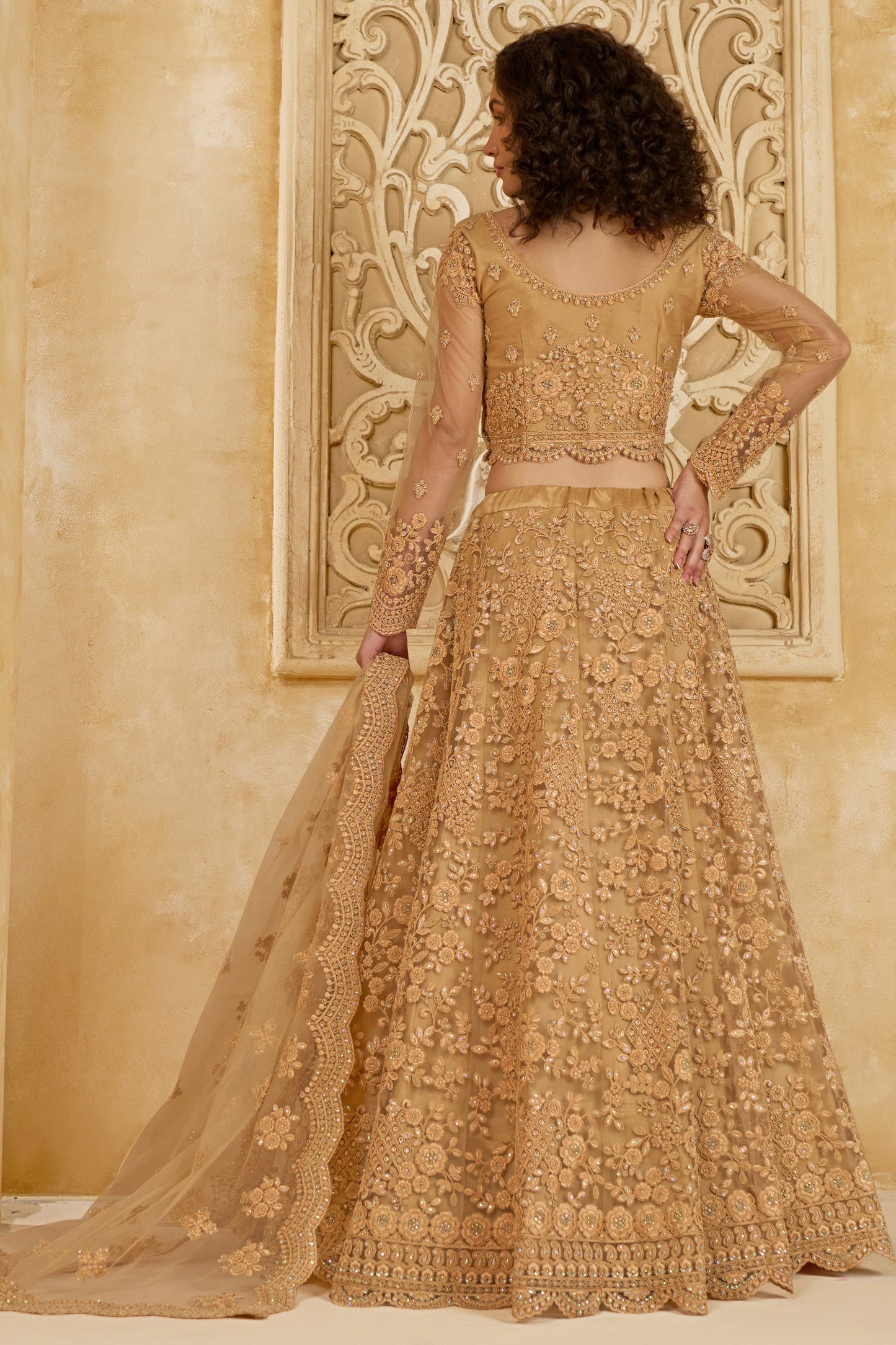 Golden Beige Semi Stitched Embroidered Net Lehenga-LC12_3_SareeButa.com
