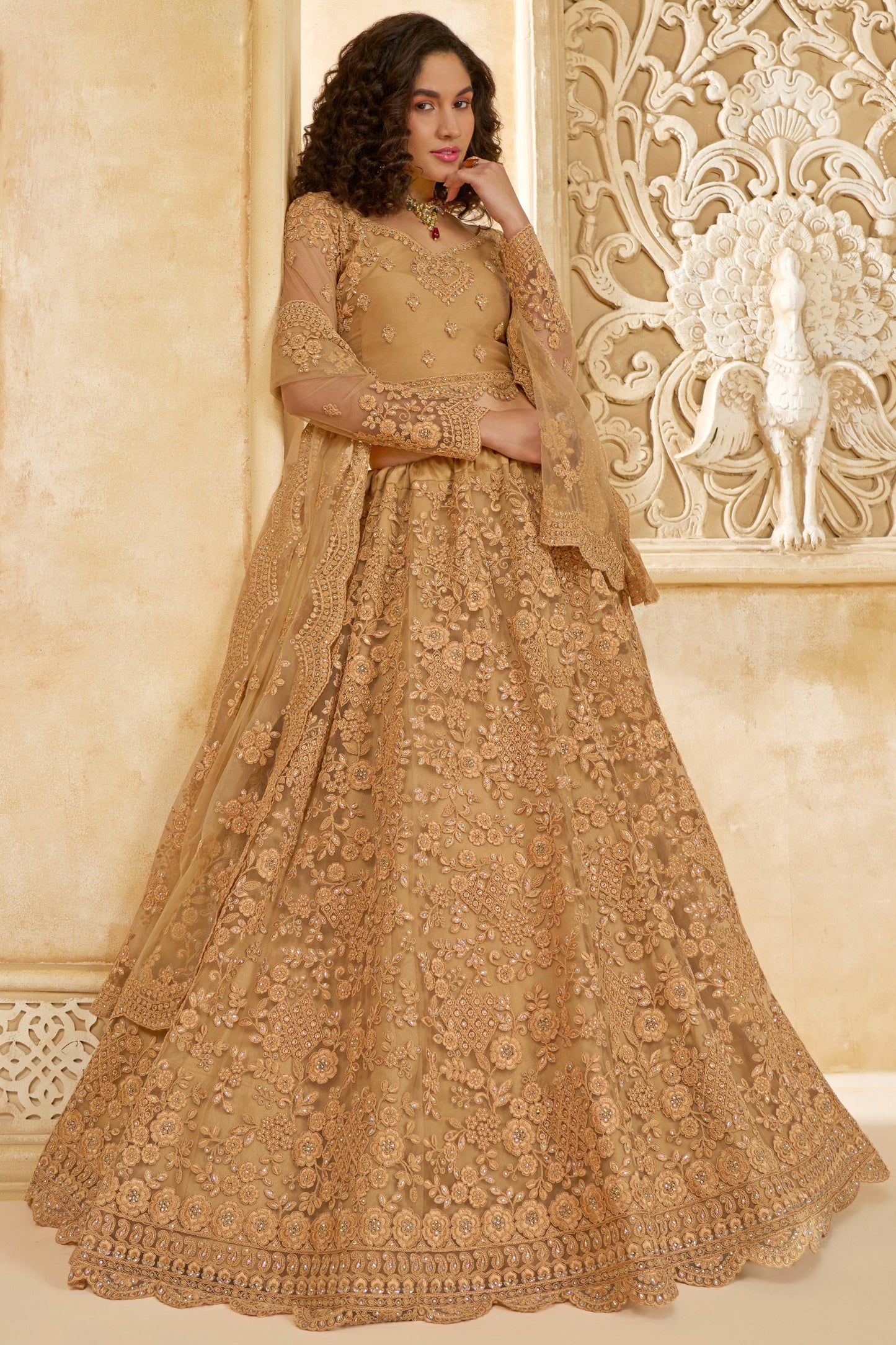 Golden Beige Semi Stitched Embroidered Net Lehenga-LC12_4_SareeButa.com