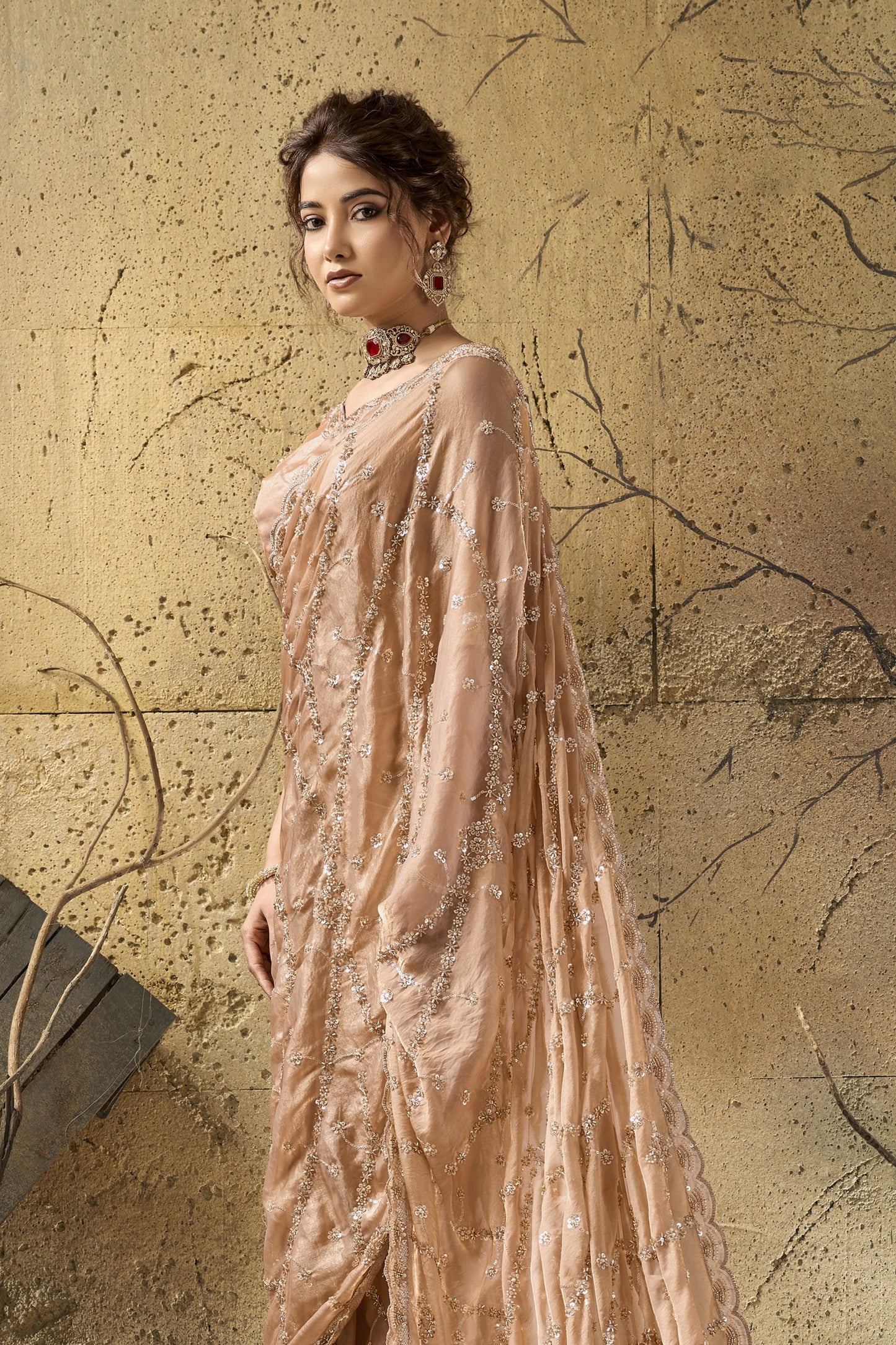 Golden Beige Sequin Work Velvet Satin Saree-SAR12814_3_SareeButa.com