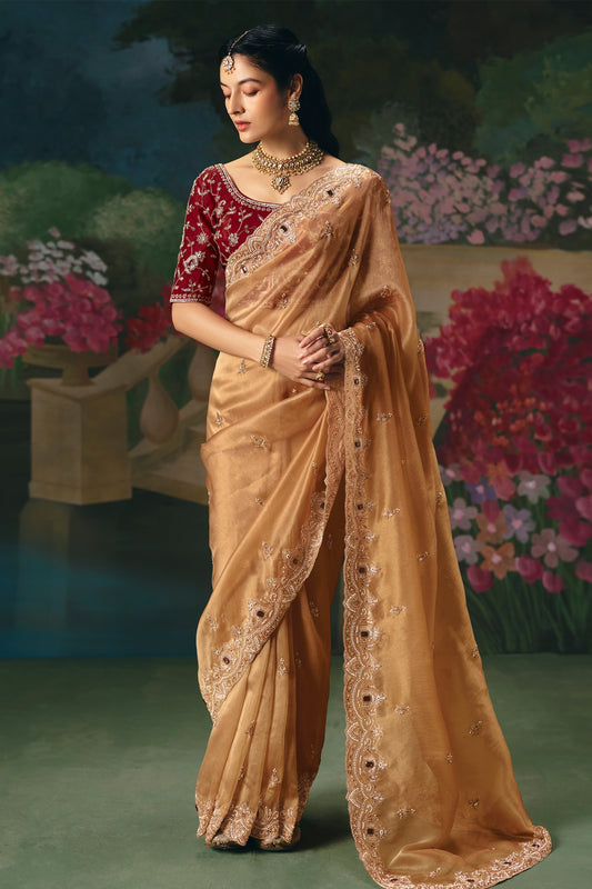 Golden Brown Embroidered Organza Saree