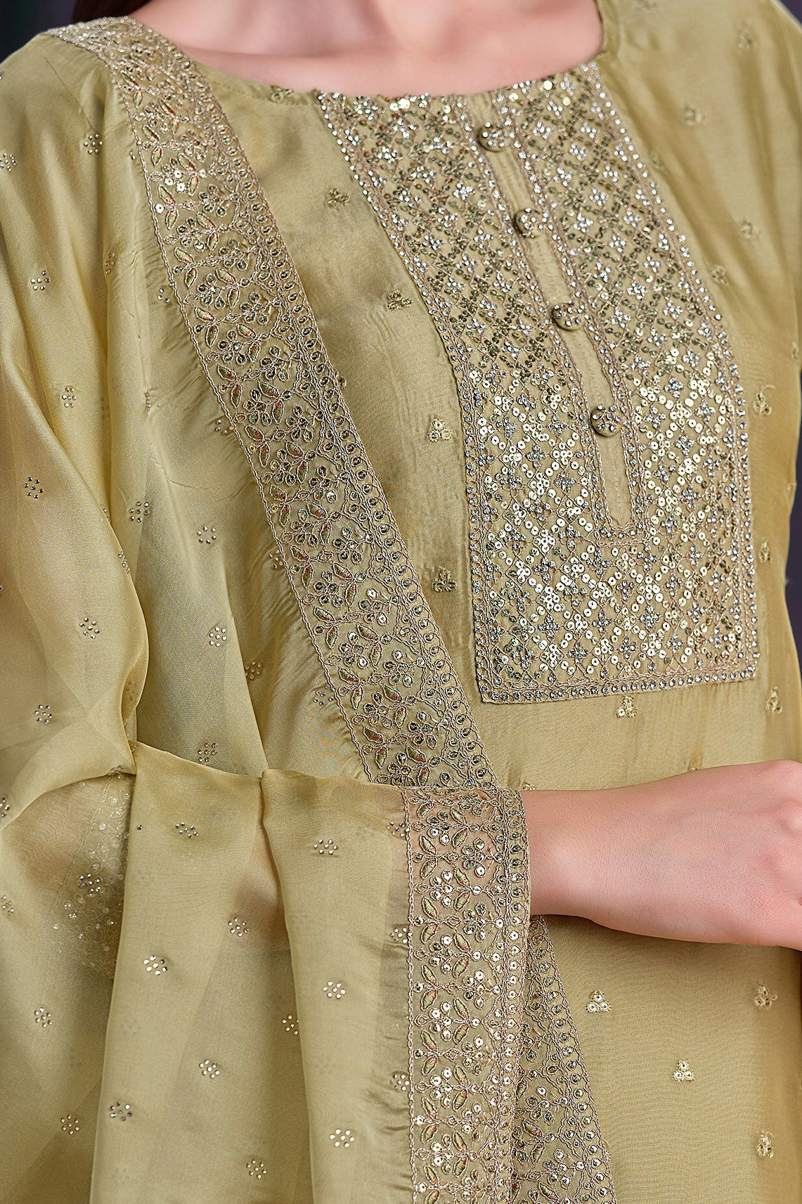 golden-embroidered-organza-salwar-suit-ss126_3_SareeButa.com