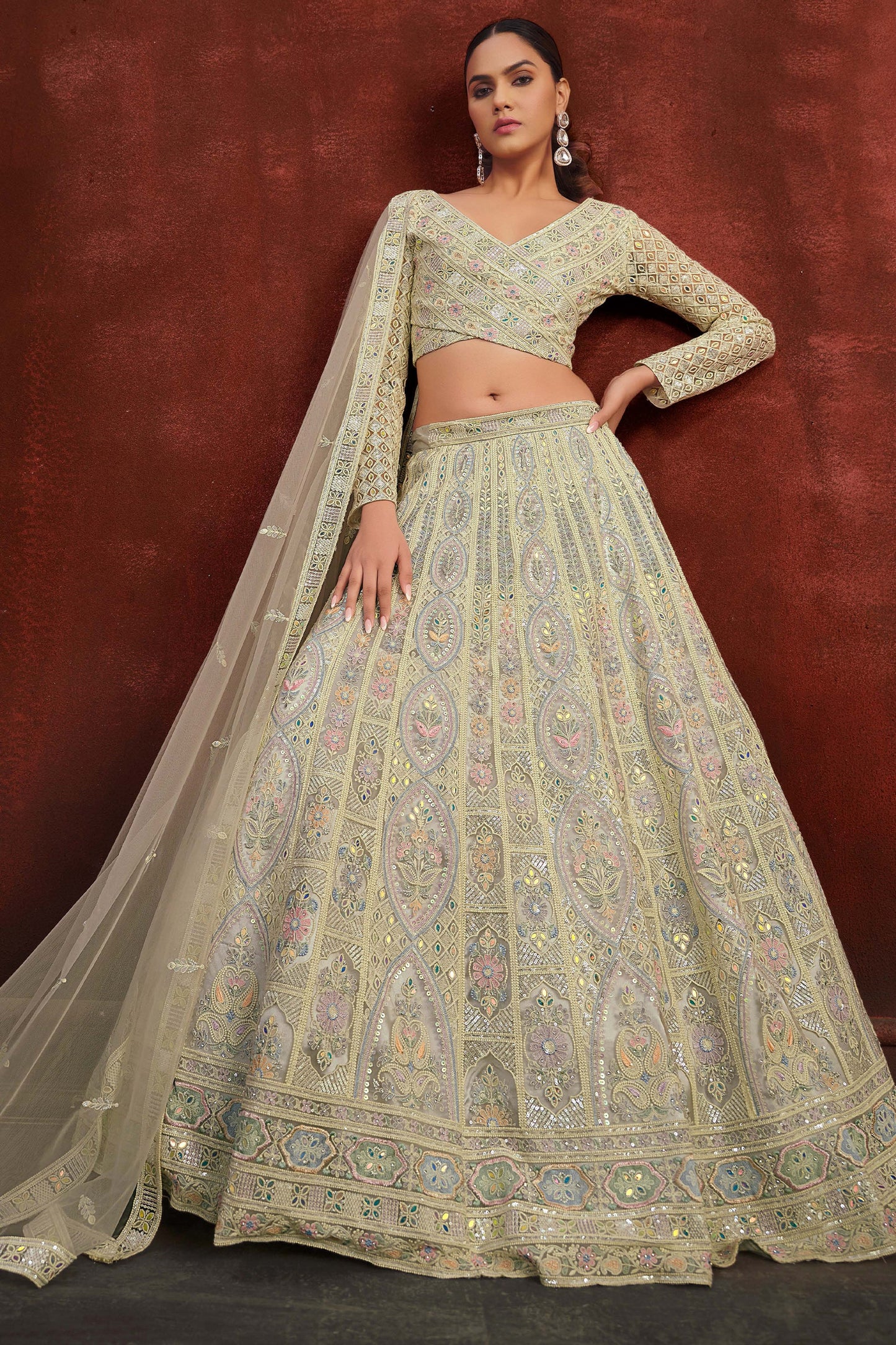 Light Grey Embroidered Semi-Stitched Net Lehenga-SAR10345_2_SareeButa.com