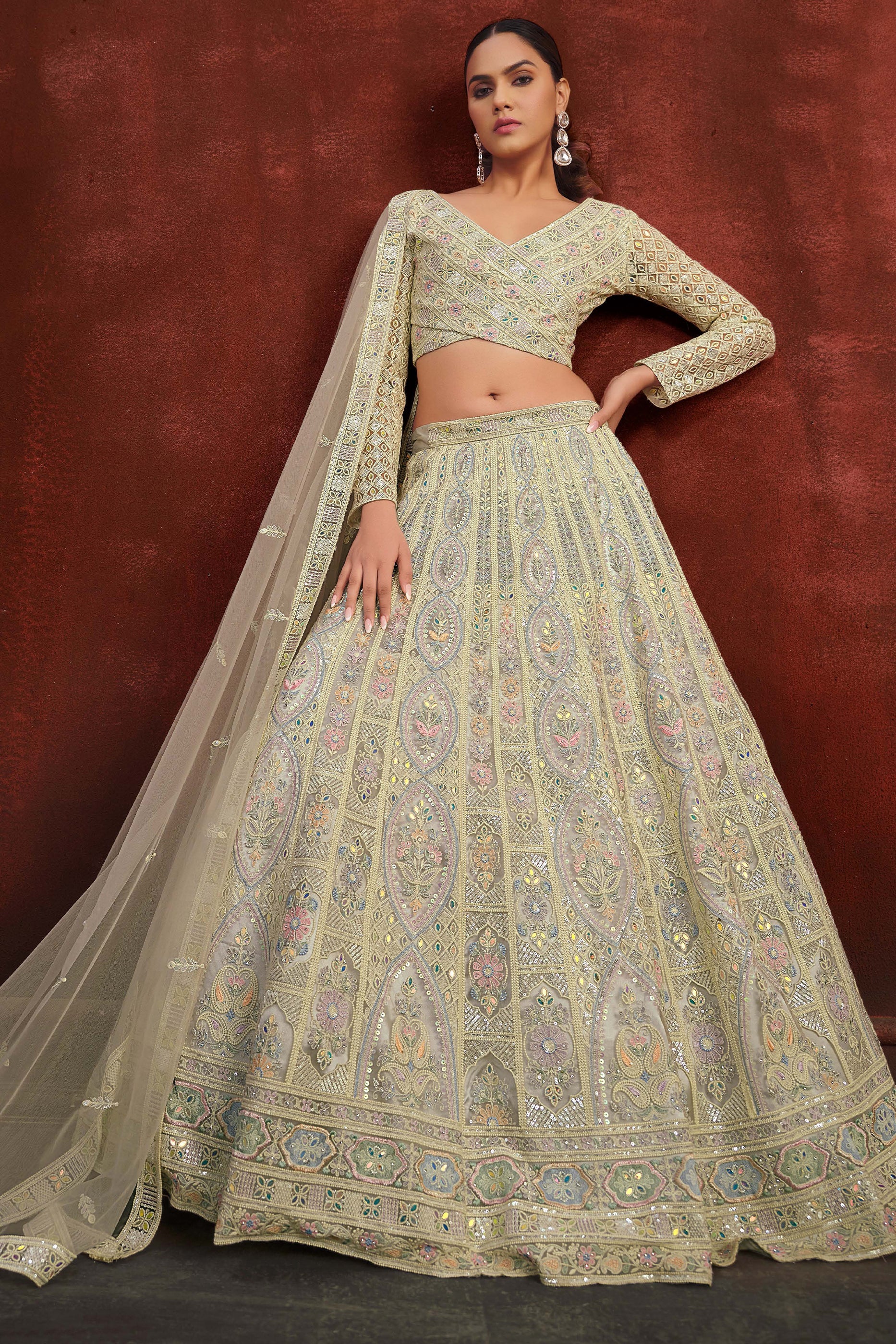 Light Grey Embroidered Semi-Stitched Net Lehenga-SAR10345_2_SareeButa.com