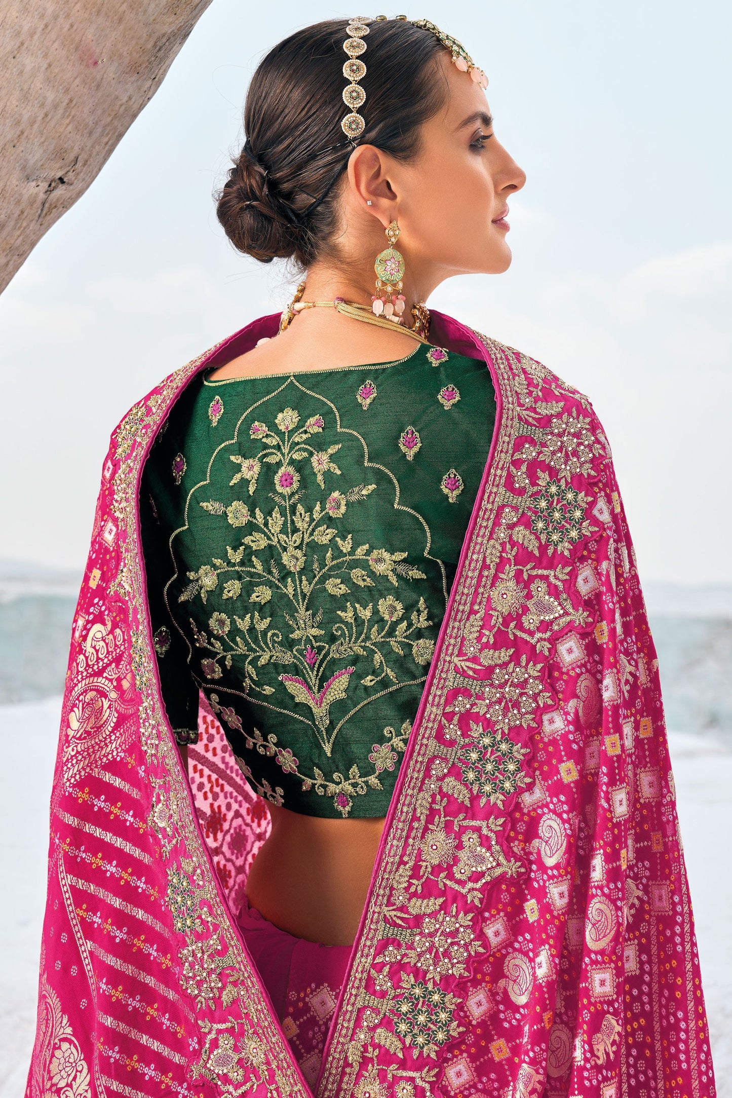 Pink Pure Georgette Patola Bandhani Fusion Saree-ZB133228_2_SareeButa.com