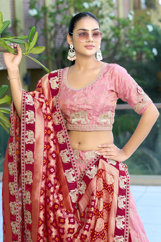 Pink Semi-Stitched Embroidered Viscose Lehenga-SAR10734_2_SareeButa.com