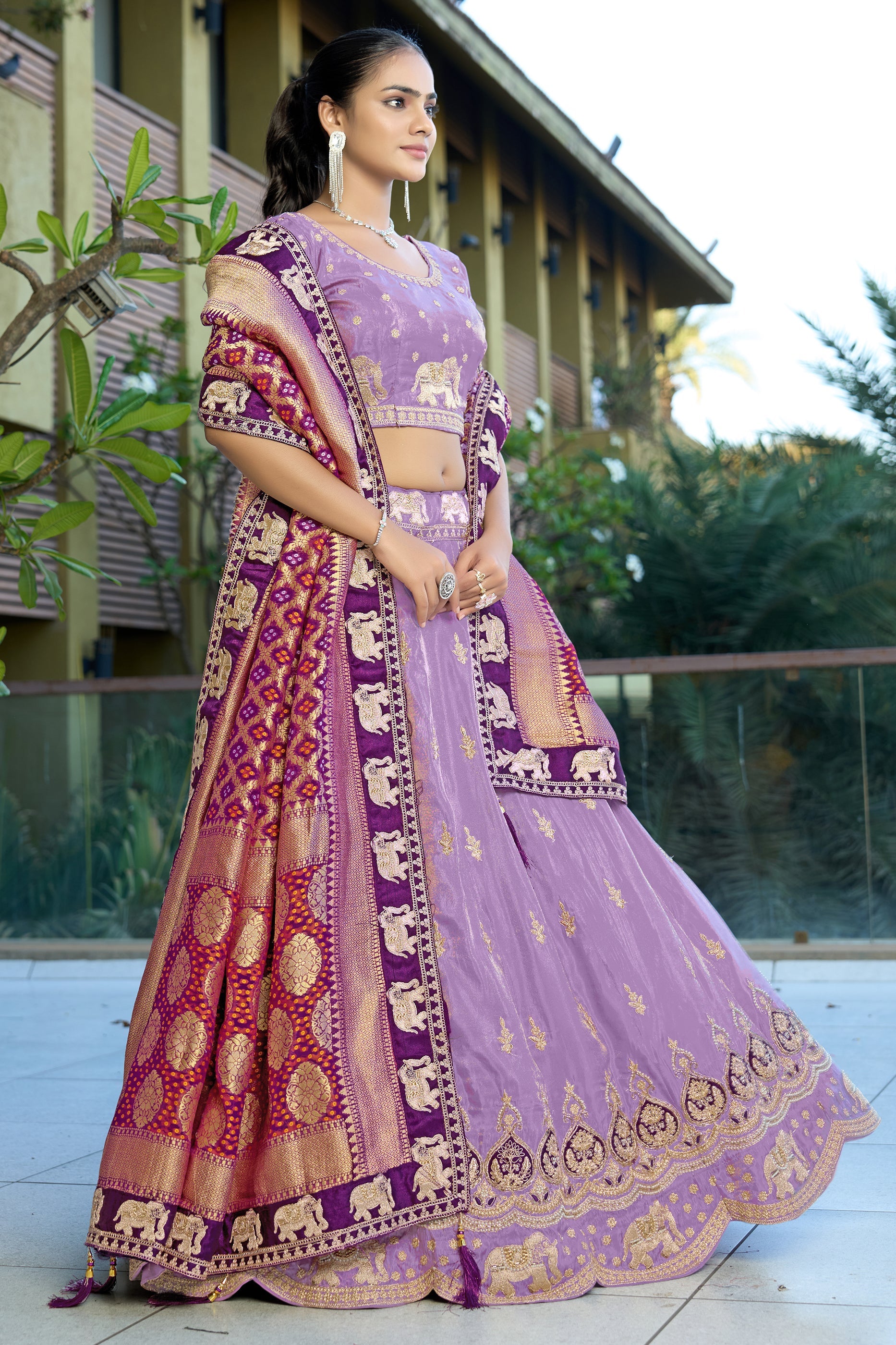 Purple Semi-Stitched Embroidered Tissue Jacquard Lehenga-SAR10725_3_SareeButa.com
