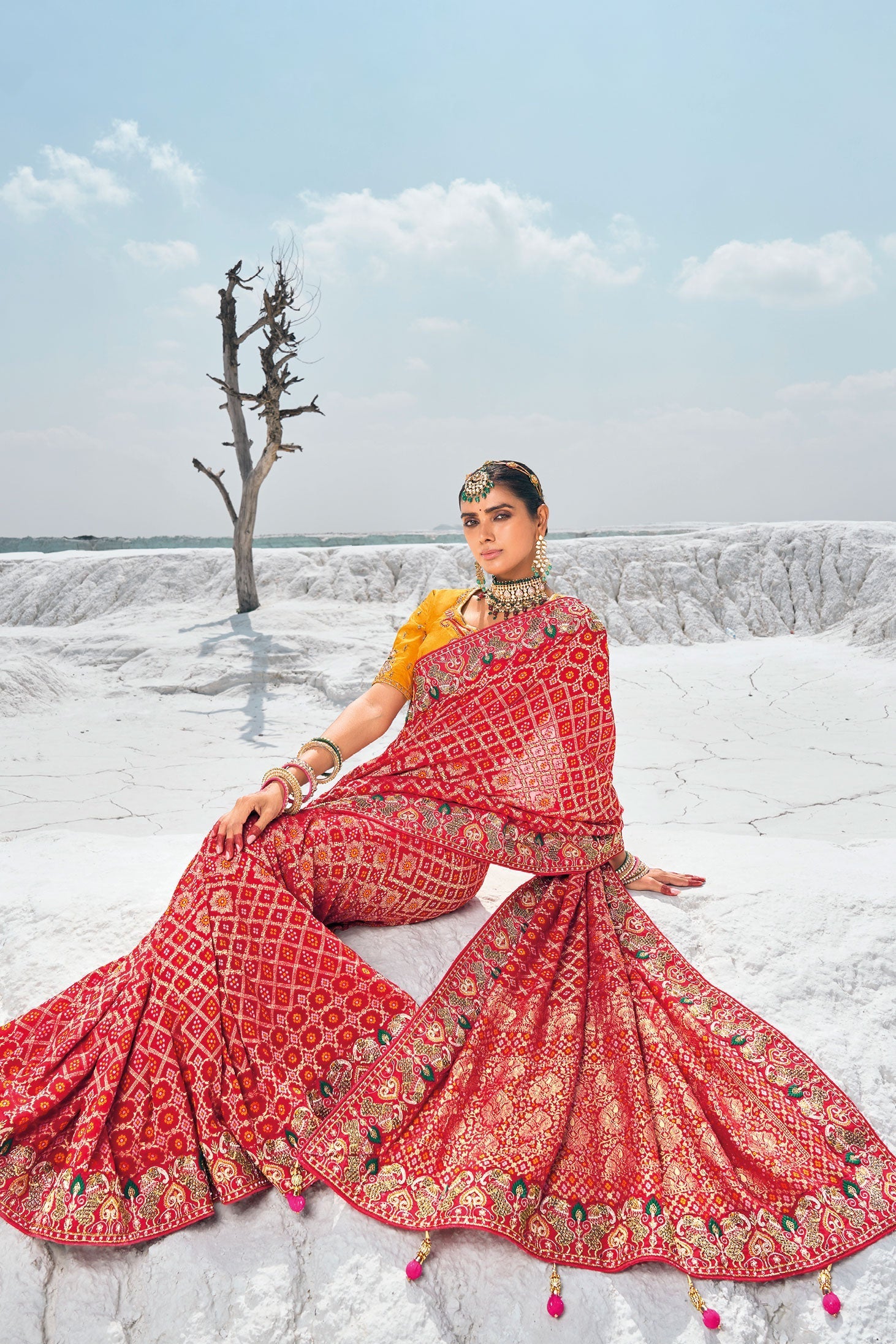 Red Pure Georgette Patola Bandhani Fusion Saree-ZB133229_4_SareeButa.com