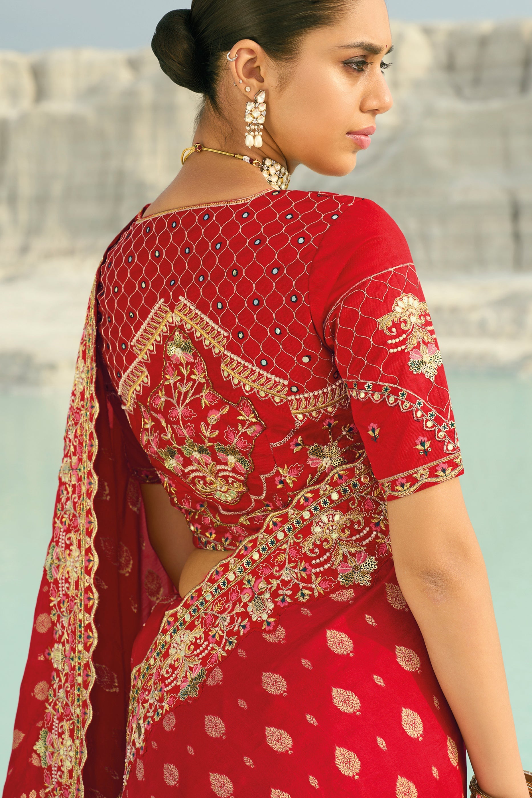 Red Embroidered Dola Viscose Saree-SAR10824_3_SareeButa.com
