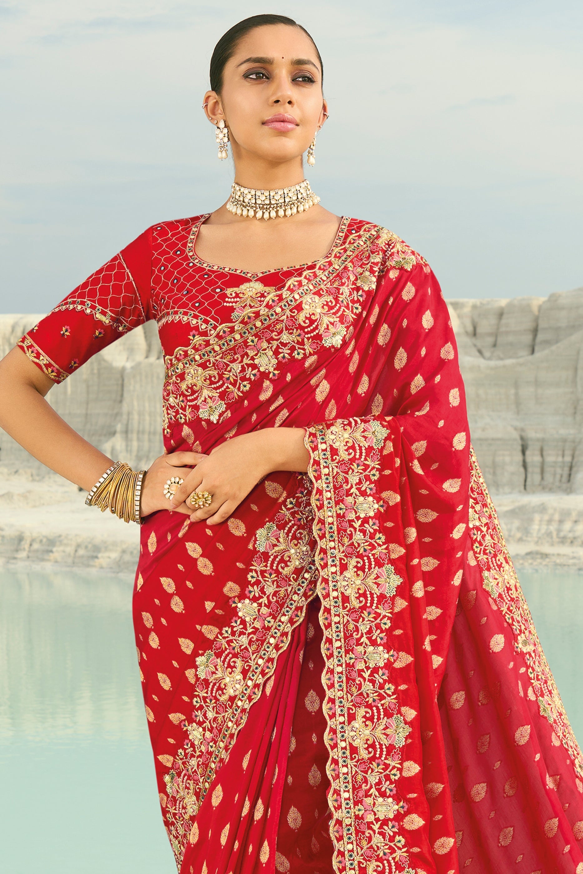 Red Embroidered Dola Viscose Saree-SAR10824_4_SareeButa.com