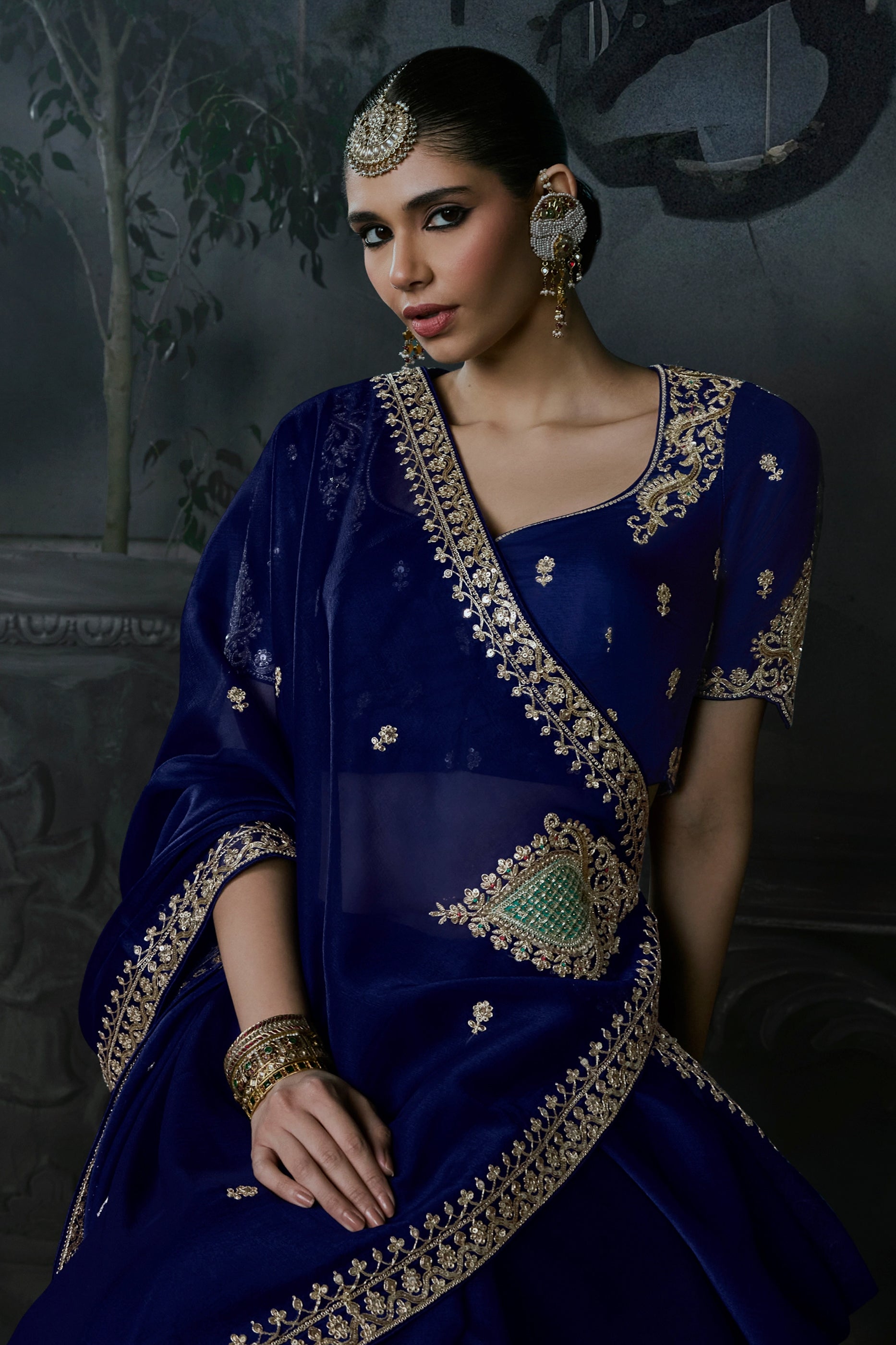 Royal Blue Embroidered Tissue Organza Saree-SAR13102_4_SareeButa.com