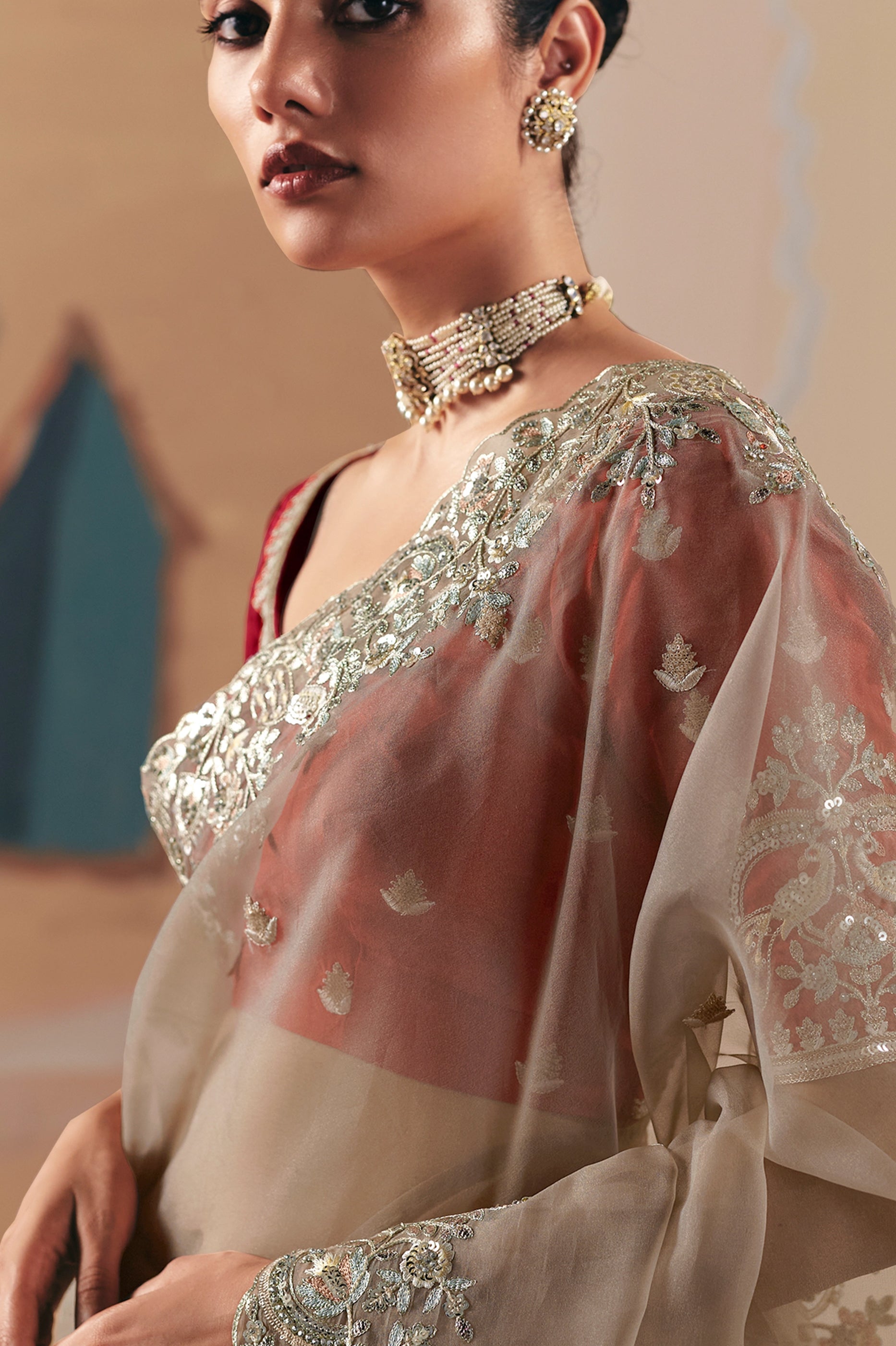 Safari Beige Embroidered Organza Saree-SAR10555_3_SareeButa.com