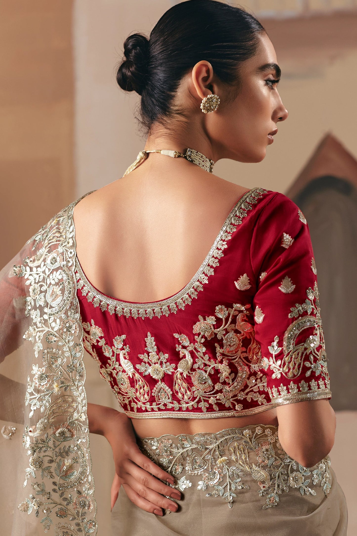 Safari Beige Embroidered Organza Saree-SAR10555_4_SareeButa.com