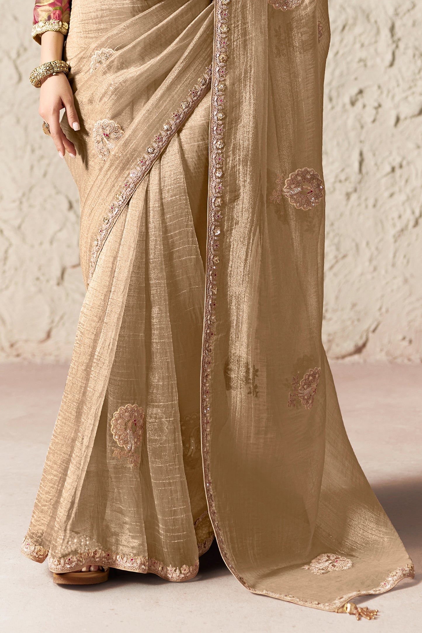 Sand Beige Embroidered Tissue Organza Saree-SAR12790_4_SareeButa.com