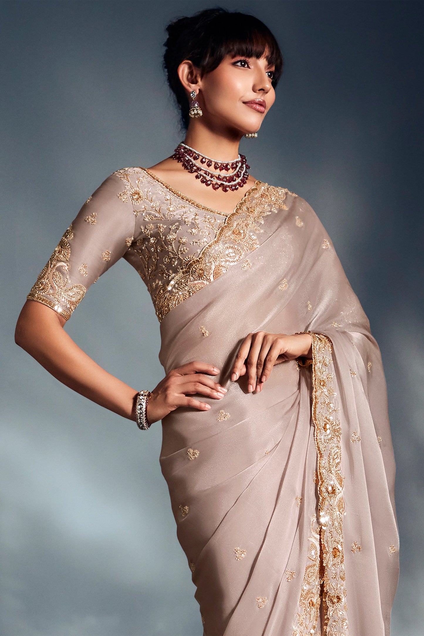 Shadow Grey Embroidered Tissue Silk Saree-SAR10217_5_SareeButa.com