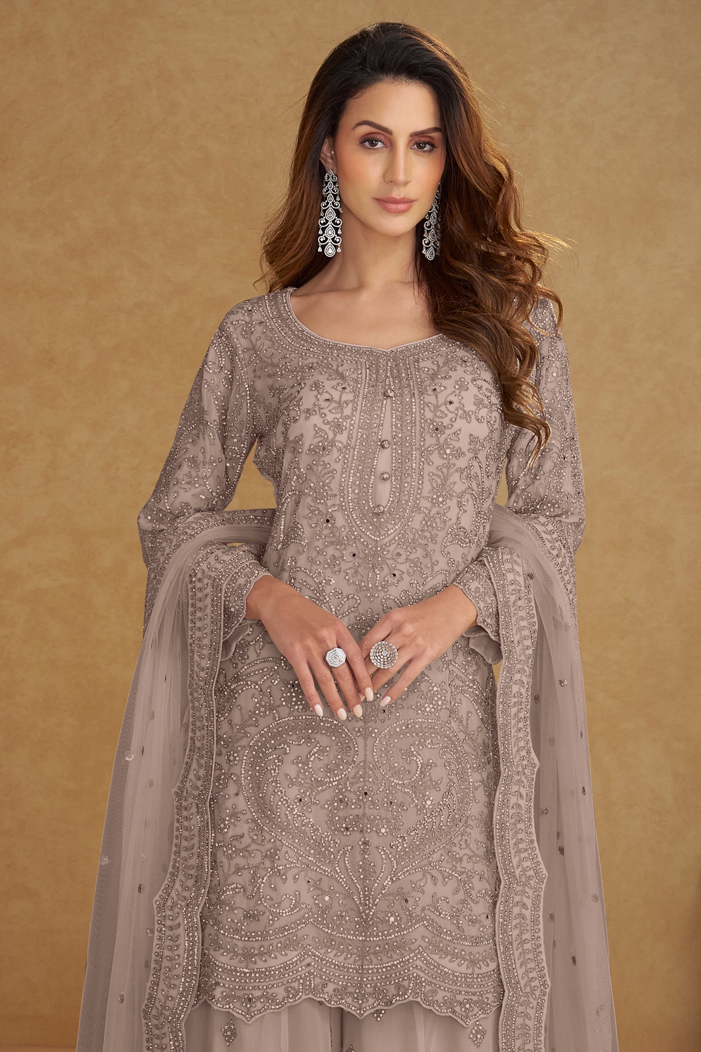 Taupe Readymade Embroidered Net Suit-SAR13211_3_SareeButa.com