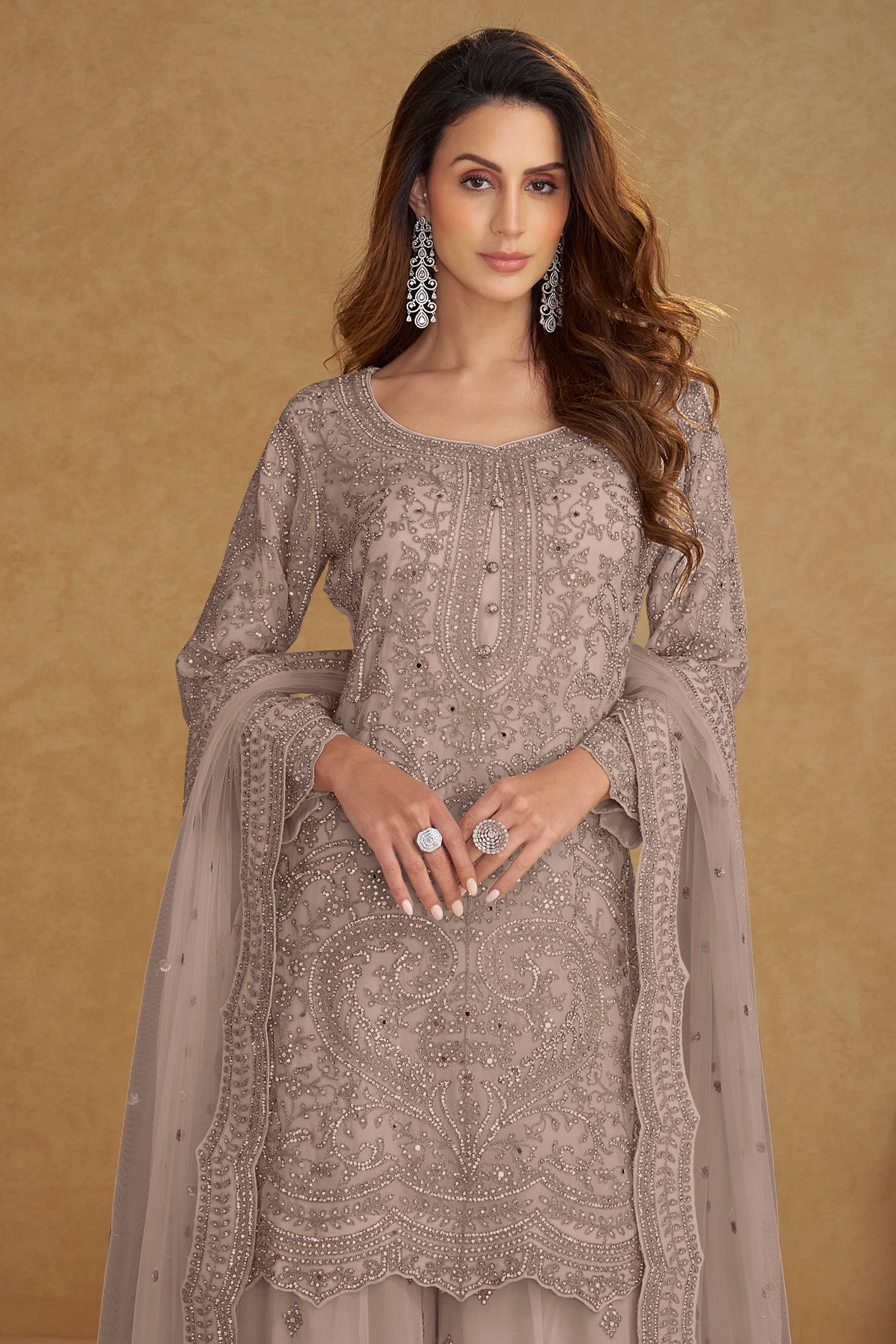 Taupe Readymade Embroidered Net Suit-SAR13211_3_SareeButa.com